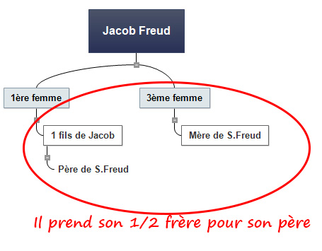 Famille de Freud selon Freud