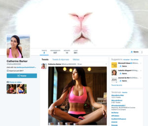 Faux compte Twitter