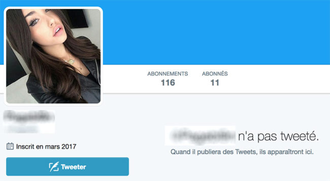 Faux profil Twitter