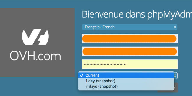 Base de données WordPress