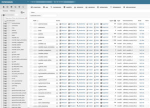 phpmyadmin WordPress